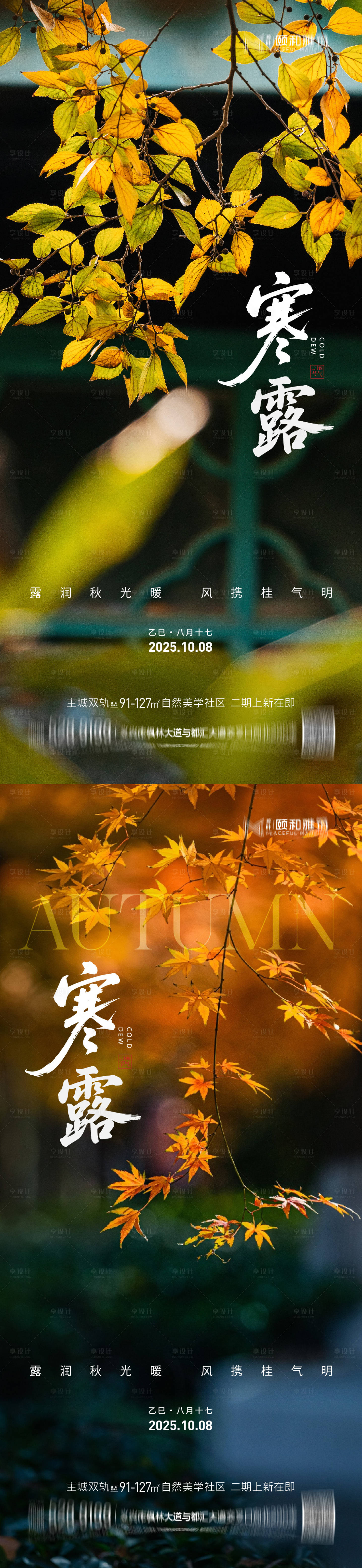 源文件下载【享设计】搜索编号：19570033312472570【2025 寒露节日节气海报】