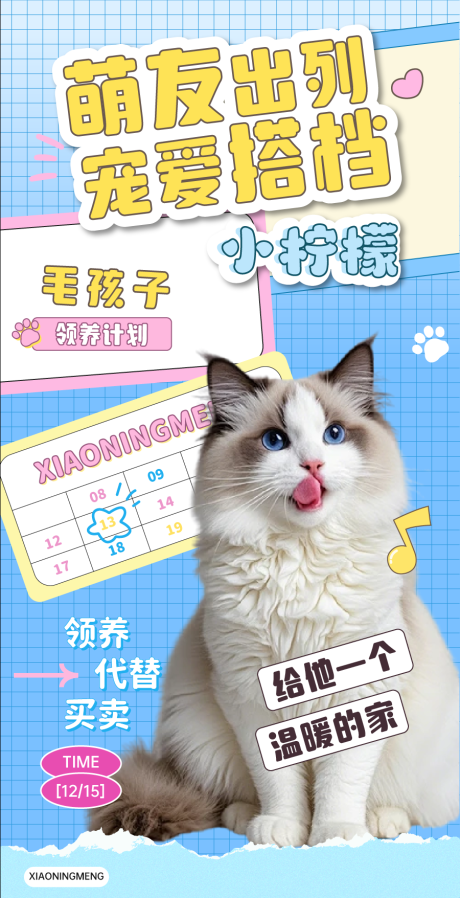 源文件下载【享设计】搜索编号：13770032906907137【宠物领养海报】