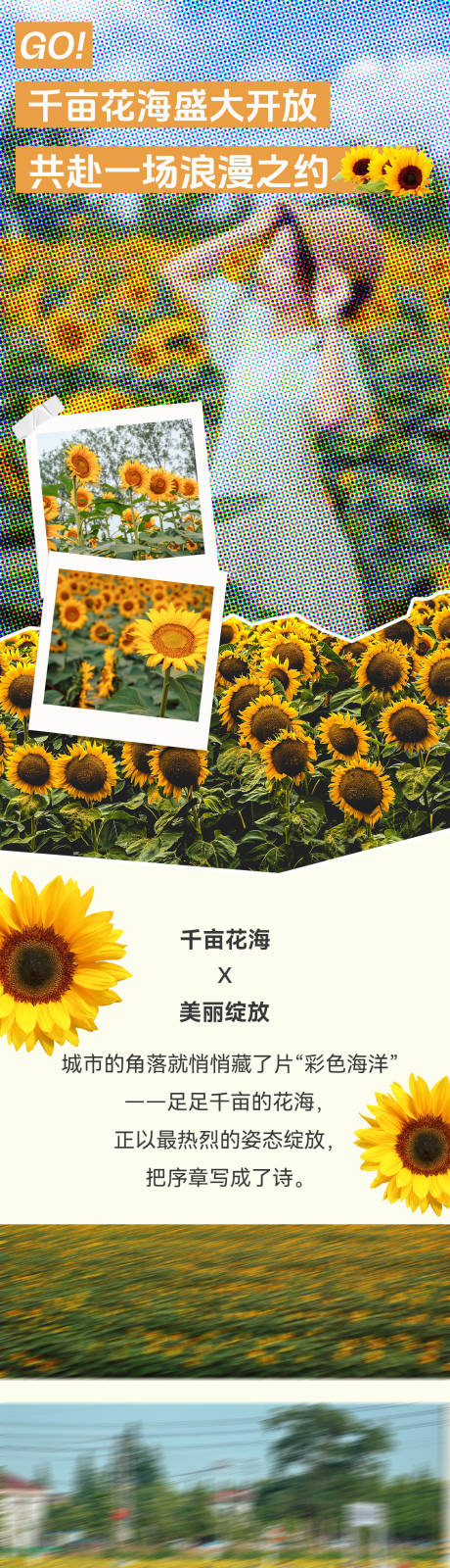 源文件下载【享设计】搜索编号：77520032882405258【花海公众号宣传长图】