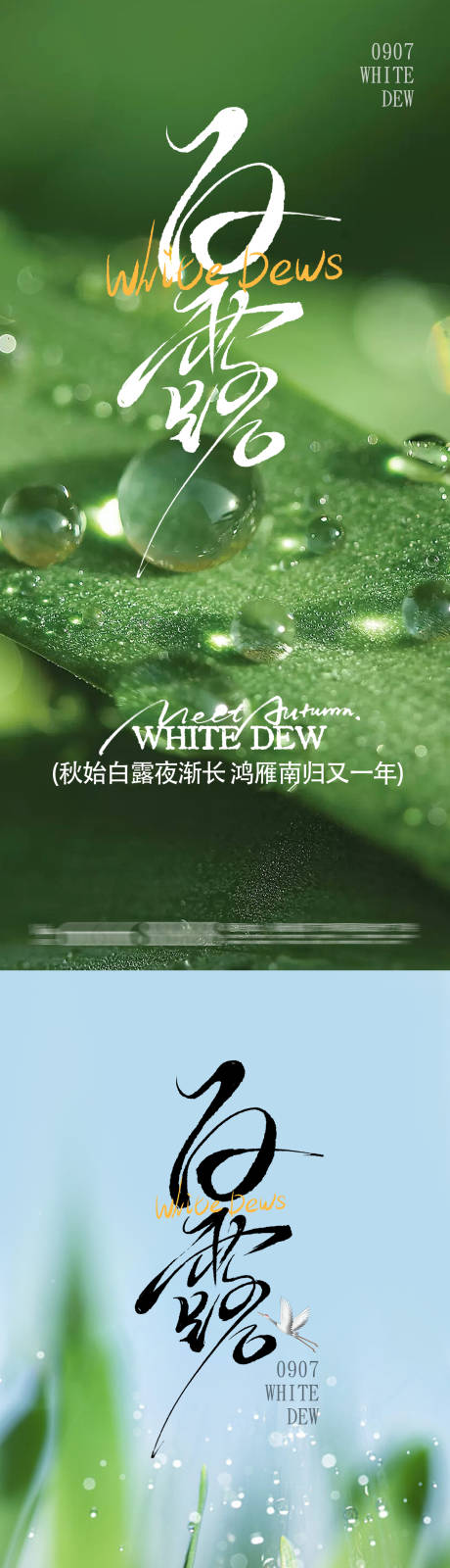 源文件下载【享设计】搜索编号：49550032902804139【白露】