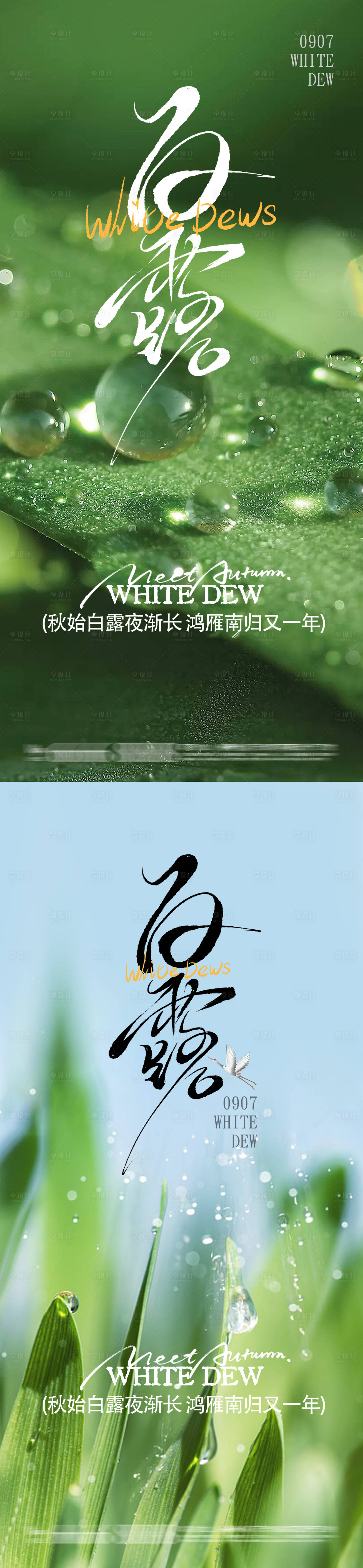 源文件下载【享设计】搜索编号：49550032902804139【白露】