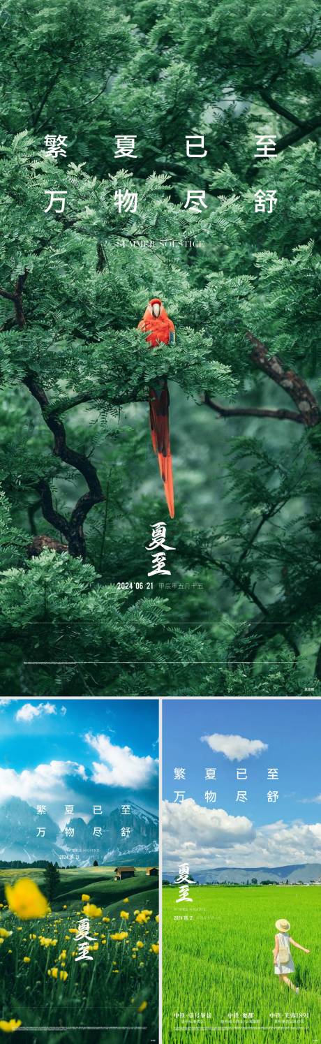 源文件下載【享設計】搜索編號：25500033022383775【地產夏至節氣海報】