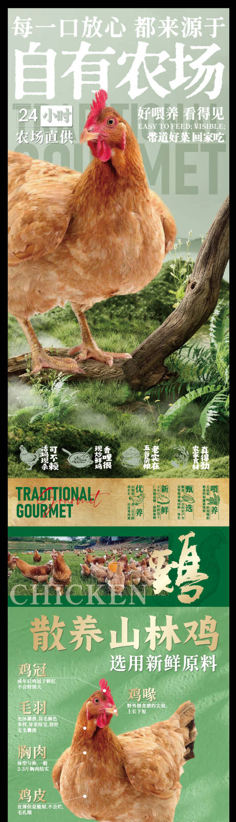 源文件下载【享设计】搜索编号：42700033117184160【赣南美食散养土鸡海报】