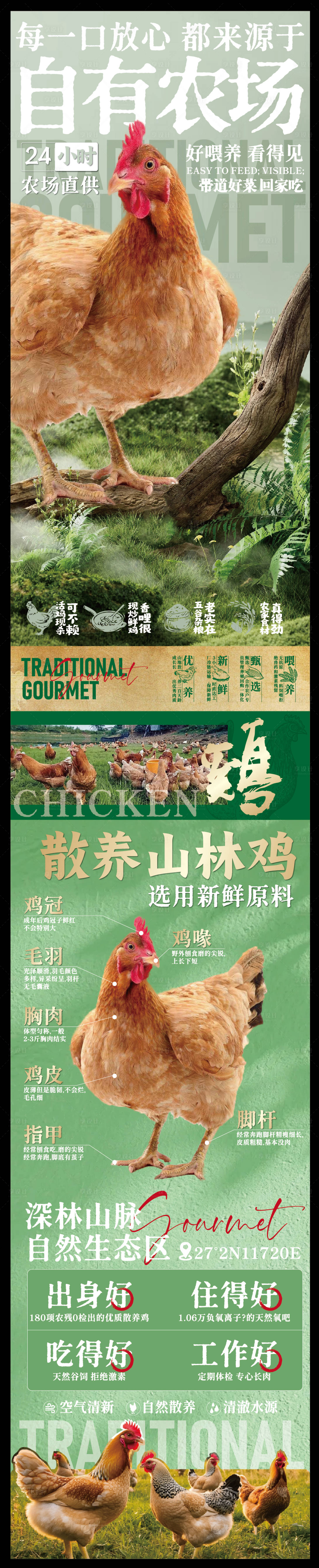 源文件下载【享设计】搜索编号：42700033117184160【赣南美食散养土鸡海报】