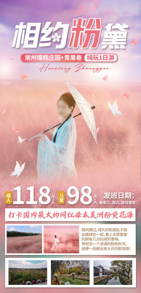 源文件下載【享設(shè)計】搜索編號：32030032950911903【秋季旅游賞花粉黛一日游旅游海報】
