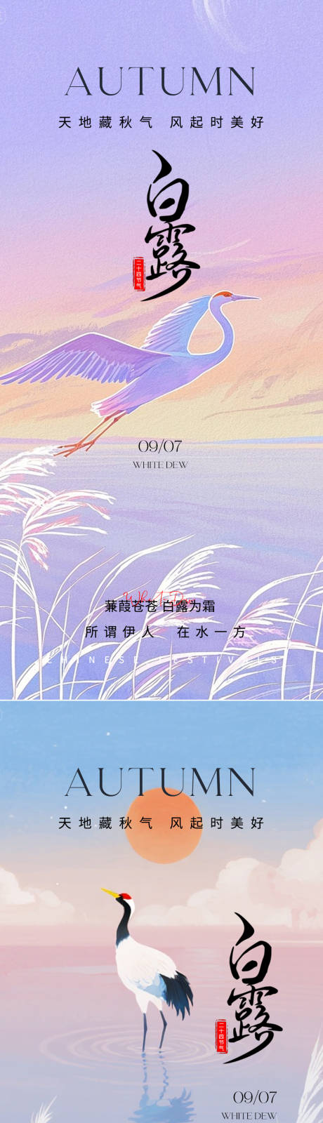 源文件下载【享设计】搜索编号：99380032839146929【白露节气海报 】