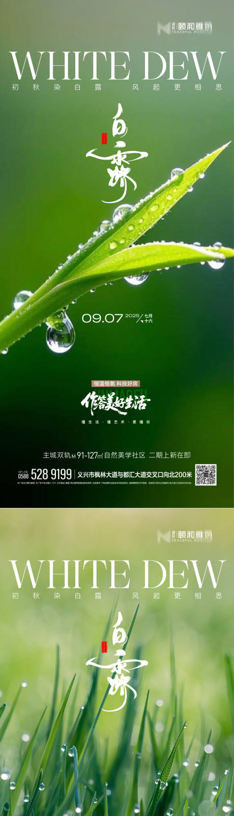 源文件下載【享設計】搜索編號：16370032848105600【白露節氣系列海報】