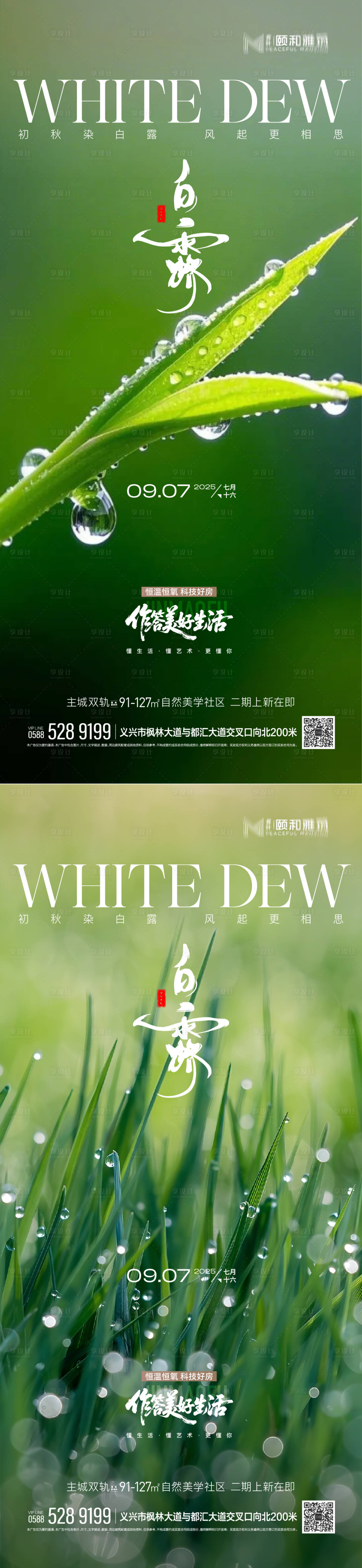 源文件下載【享設計】搜索編號：16370032848105600【白露節氣系列海報】