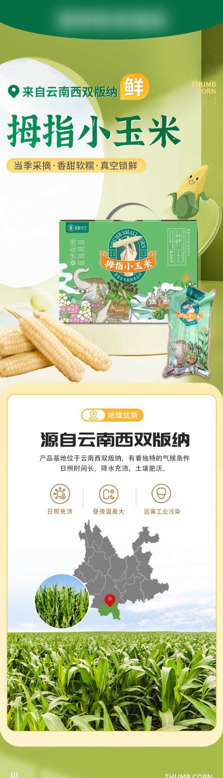 源文件下載【享設計】搜索編號：85020033058829207【云南拇指玉米詳情】