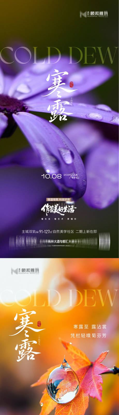 源文件下载【享设计】搜索编号：61950033313586175【寒露节日节气海报】