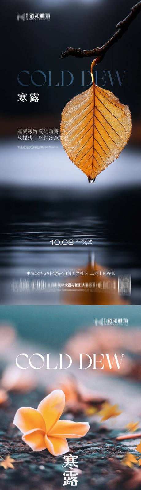 源文件下载【享设计】搜索编号：89640033281715982【2025寒露节日节气海报】