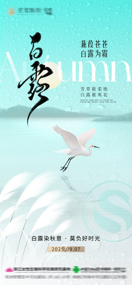 源文件下载【享设计】搜索编号：64380032926198657【白露节气宣传】
