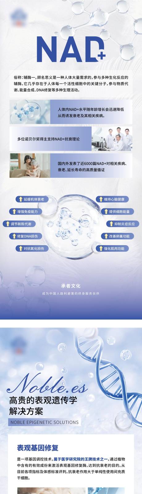 源文件下载【享设计】搜索编号：56590033262648834【高档医美系列易拉宝展架】