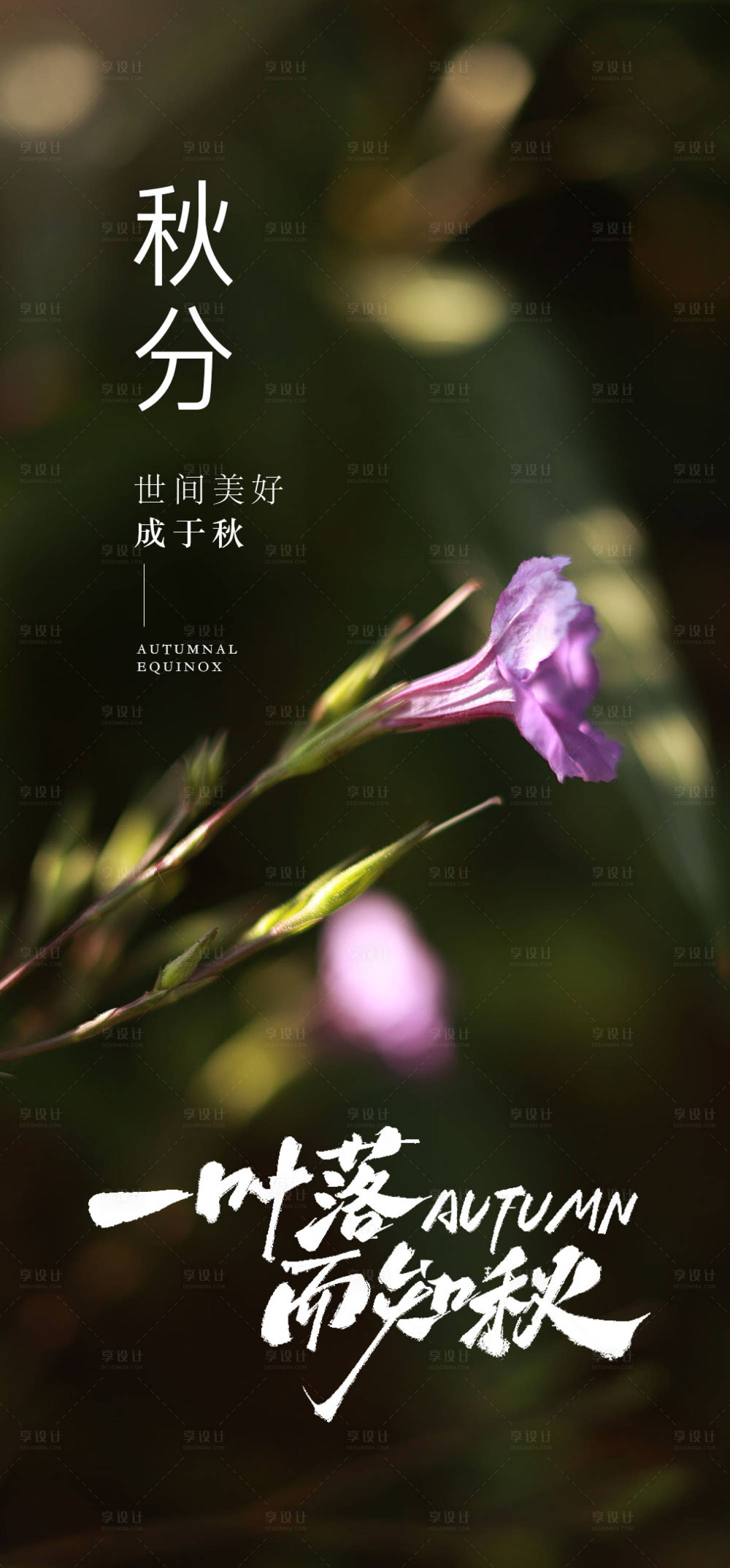 源文件下载【享设计】搜索编号：44430033196266983【秋分24节气房地产海报】