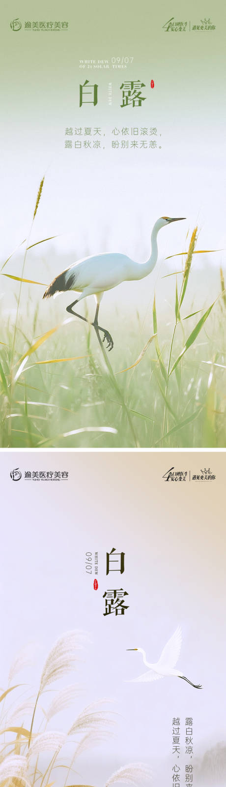 源文件下载【享设计】搜索编号：28300032872744381【白露节气海报】