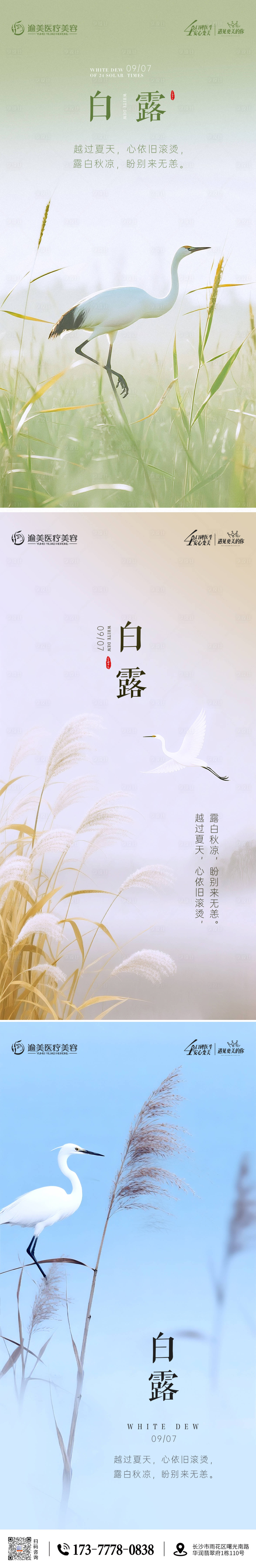 源文件下载【享设计】搜索编号：28300032872744381【白露节气海报】