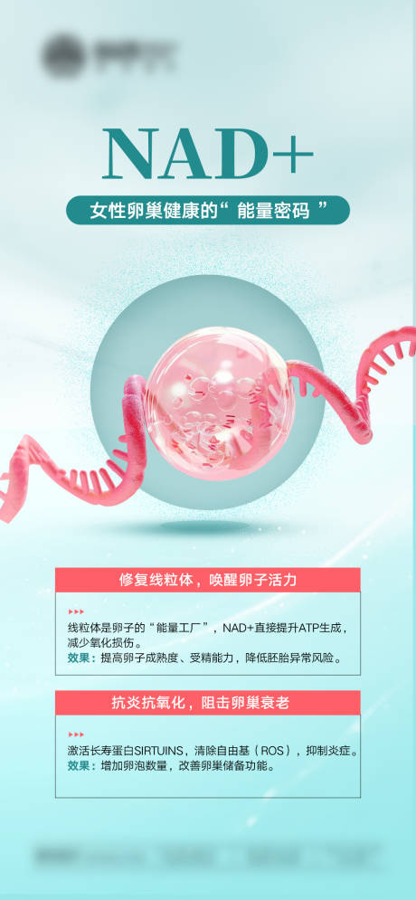 源文件下載【享設計】搜索編號：88610033016593641【女性卵巢健康海報】