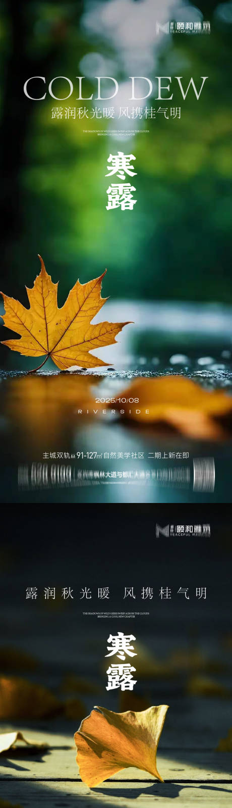 源文件下载【享设计】搜索编号：58220033291186179【寒露海报】