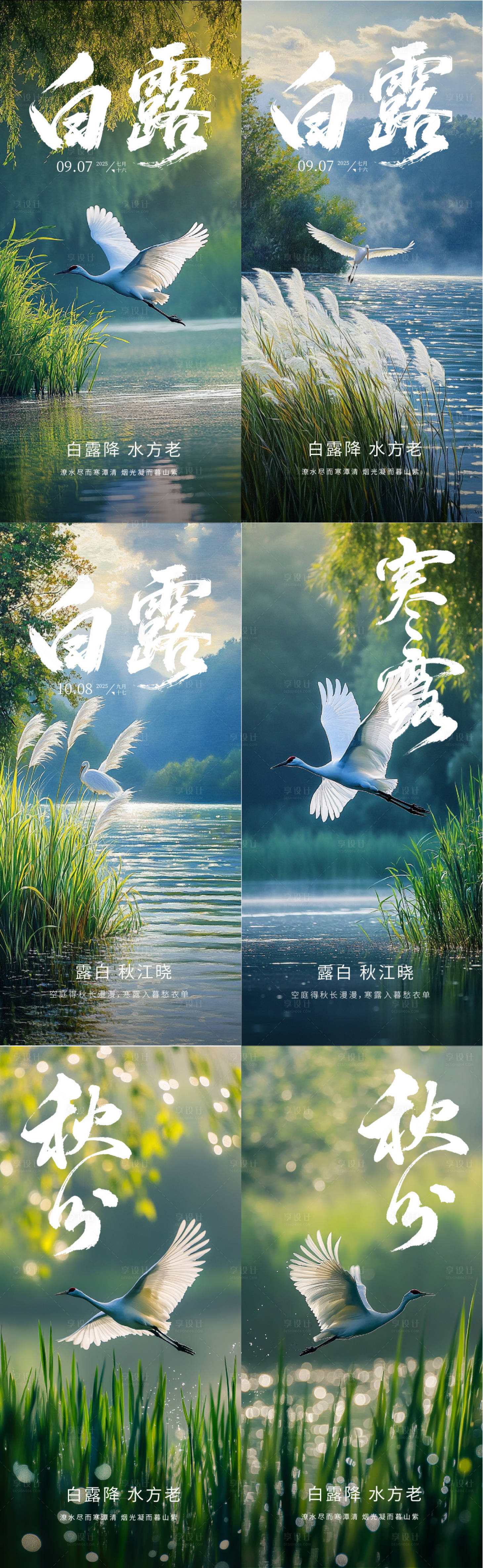 源文件下载【享设计】搜索编号：84410032919373974【白露秋分寒露实景节气海报】