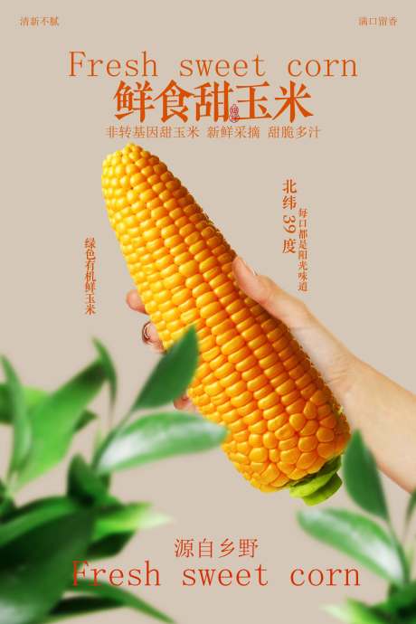 源文件下载【享设计】搜索编号：94050033165024034【鲜食甜玉米海报】