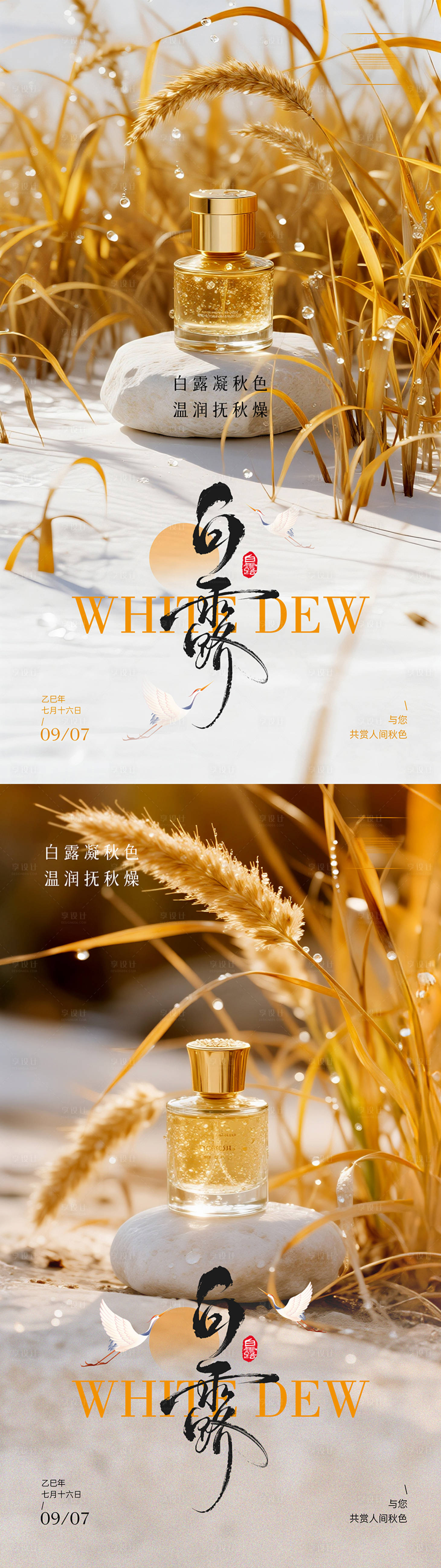 源文件下載【享設計】搜索編號：78440032875092314【白露】
