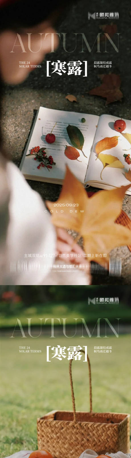 源文件下载【享设计】搜索编号：82010033313982220【寒露节日节气海报】