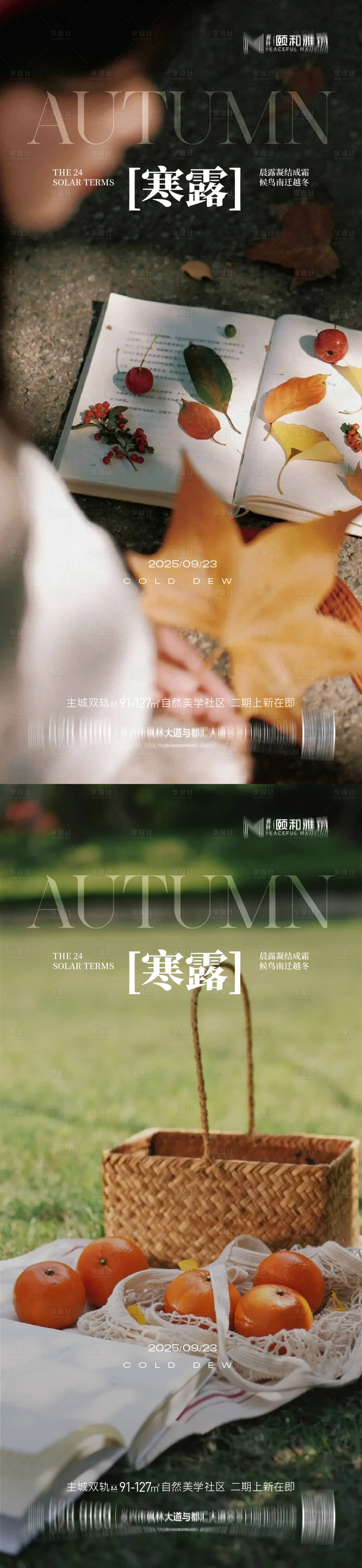 源文件下载【享设计】搜索编号：82010033313982220【寒露节日节气海报】