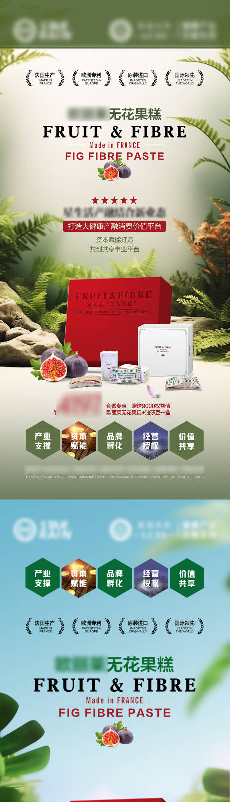 源文件下载【享设计】搜索编号：76230033275659186【欧盟无花果海报】