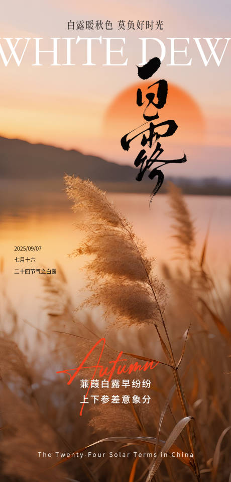 源文件下载【享设计】搜索编号：25850032857602956【秋季白露节气海报】