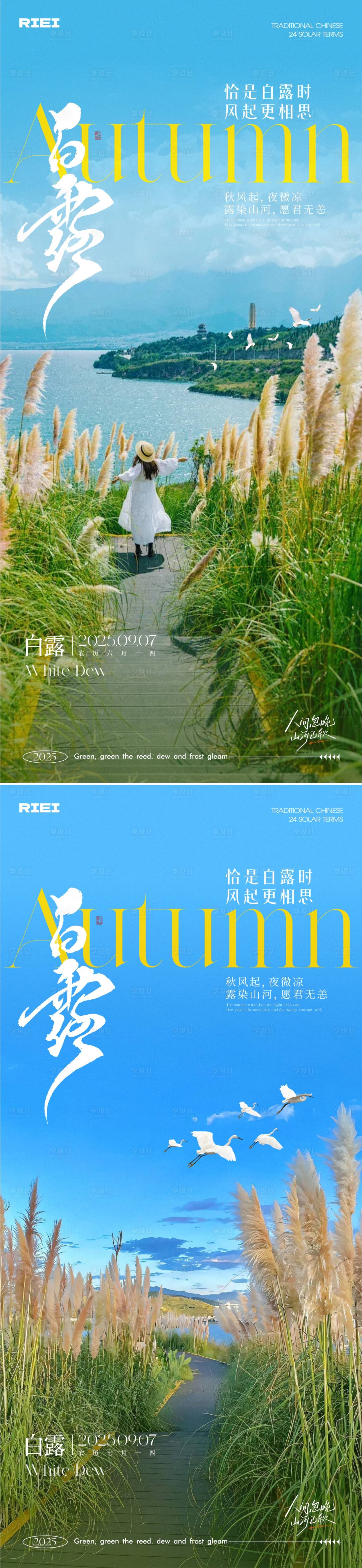 源文件下载【享设计】搜索编号：57250032847733492【白露节气系列海报】