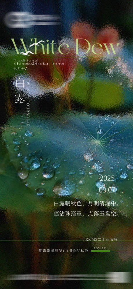 源文件下載【享設計】搜索編號：46500032925226785【白露節氣海報】