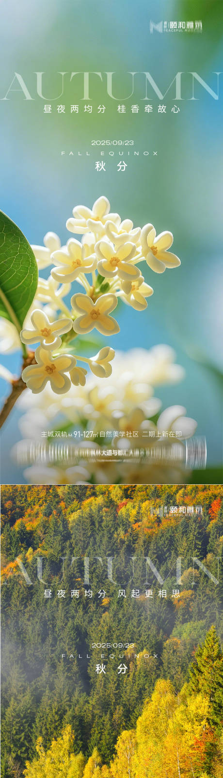 源文件下载【享设计】搜索编号：33270033062576082【秋分海报】