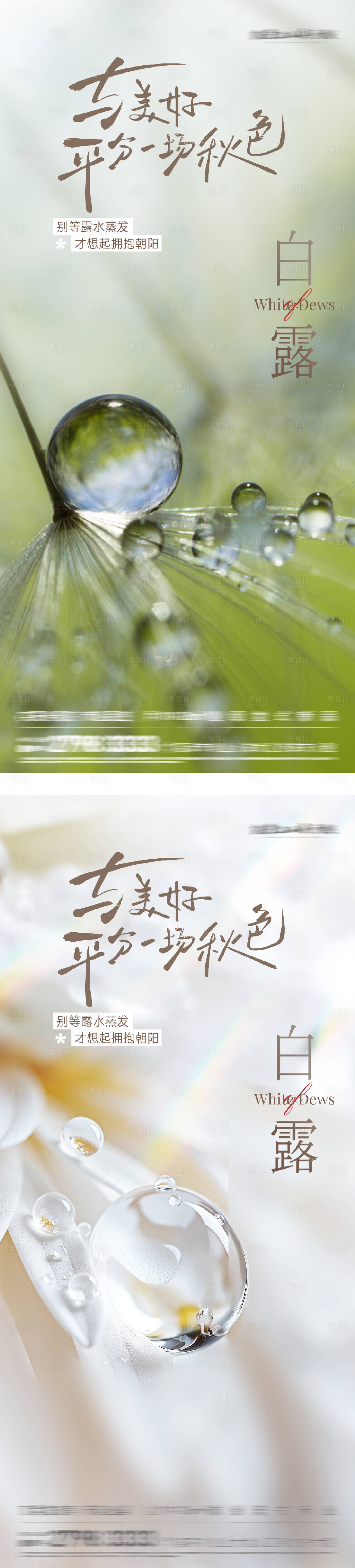 源文件下載【享設計】搜索編號：42330032835365947【白露中式實景節氣海報】