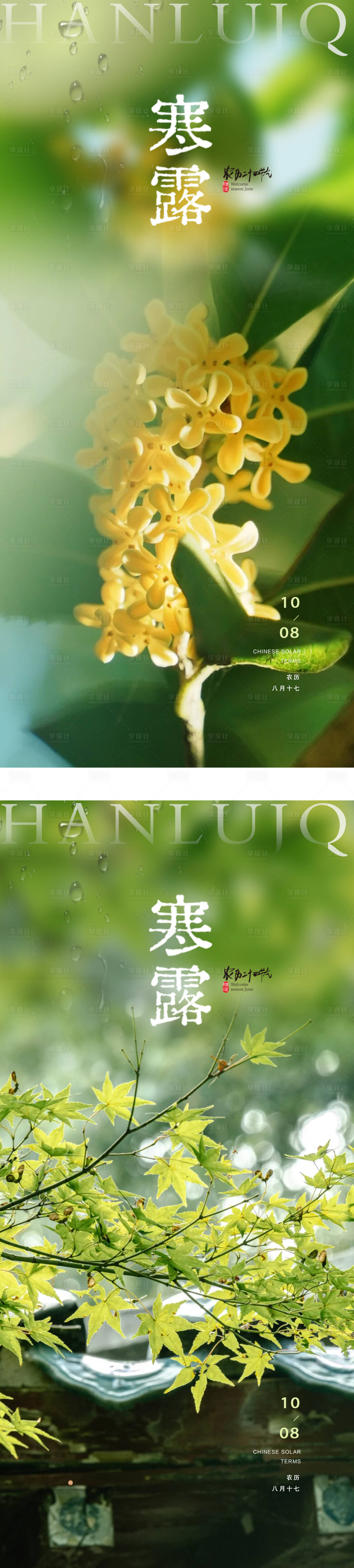 源文件下载【享设计】搜索编号：65550033335835579【寒露实景海报设计】