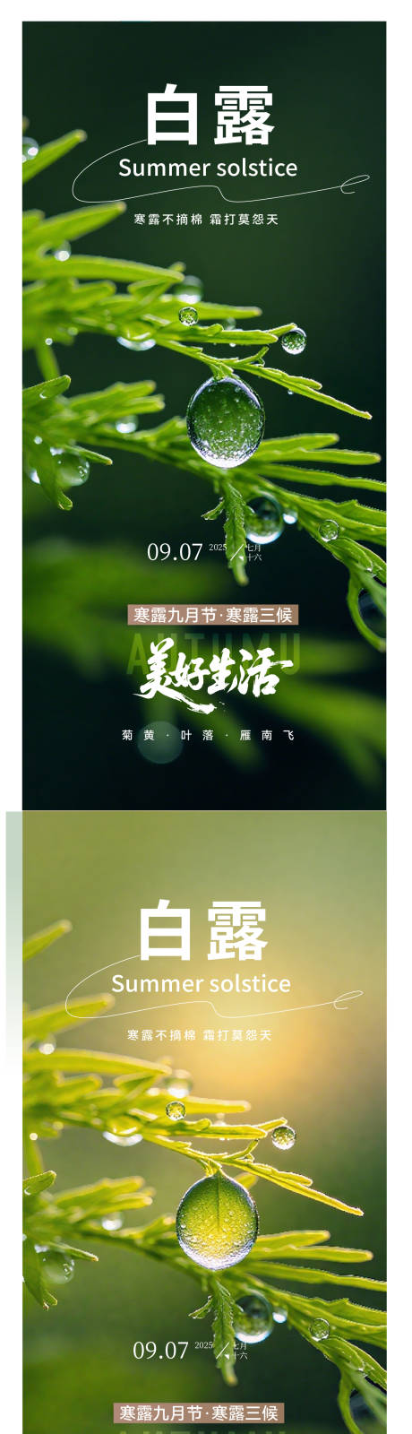 源文件下載【享設(shè)計】搜索編號：14940032941423038【白露海報】