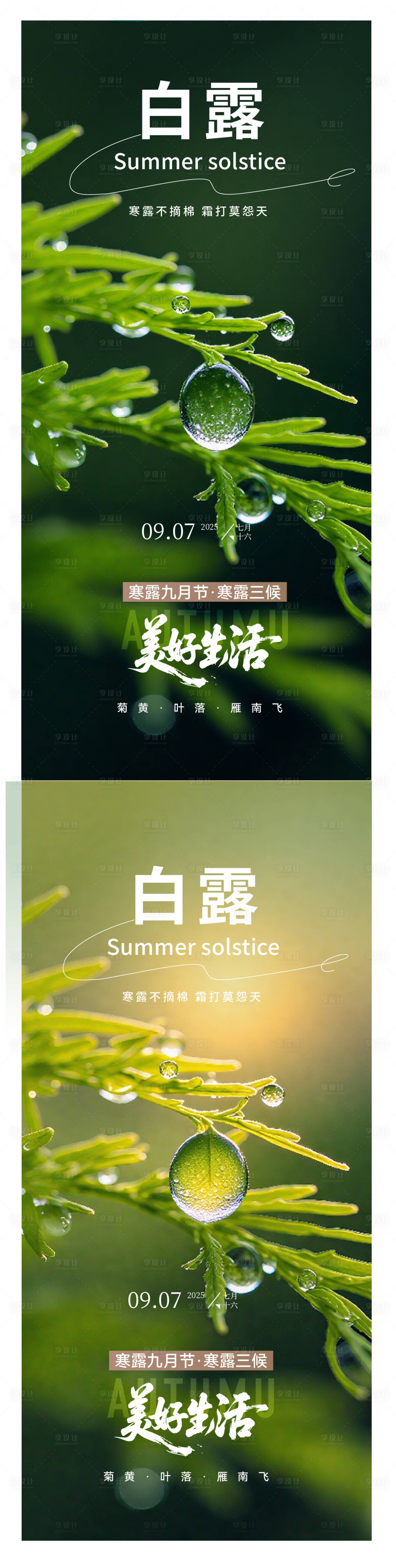 源文件下载【享设计】搜索编号：14940032941423038【白露海报】