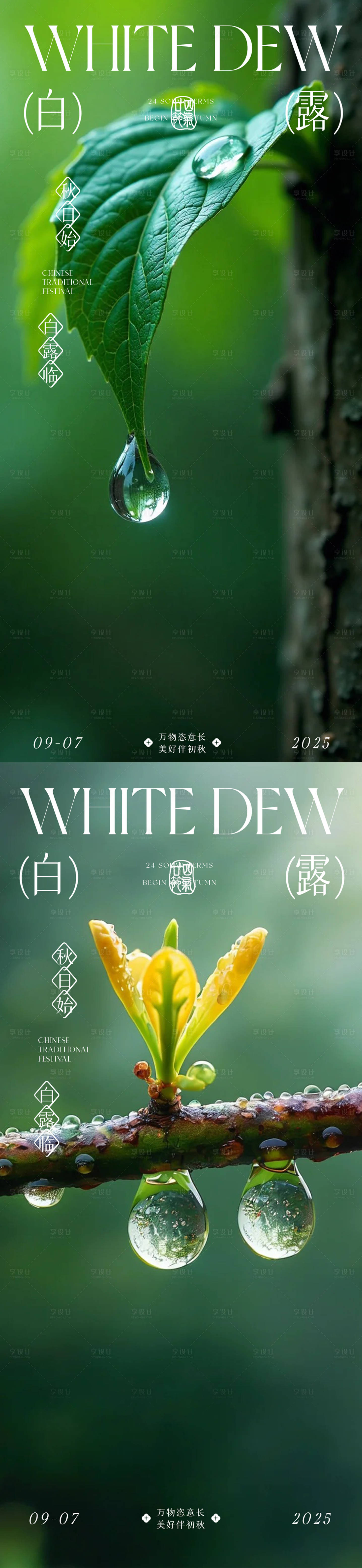 源文件下載【享設計】搜索編號：91120032839367400【白露】