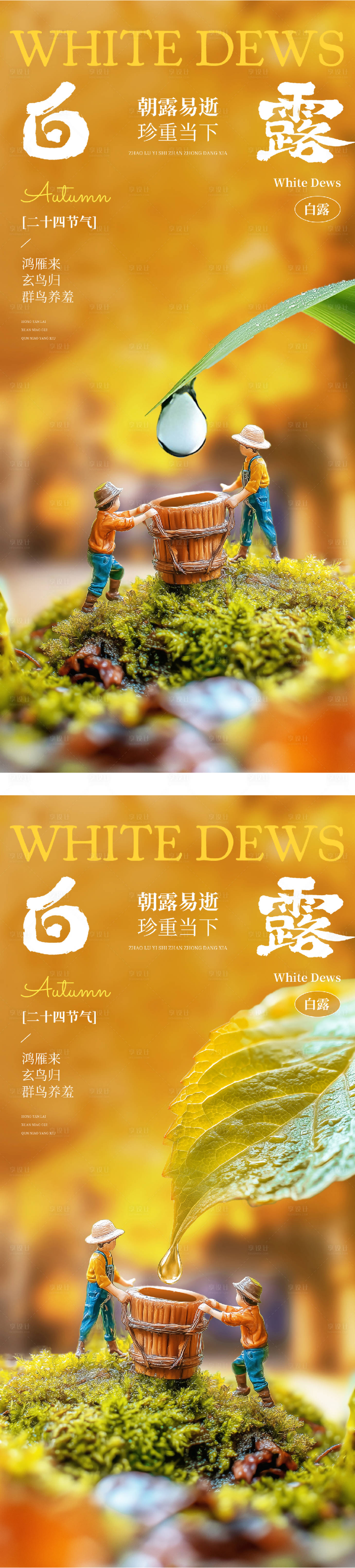 源文件下载【享设计】搜索编号：37560032835055798【地产白露芦苇风景节气海报】