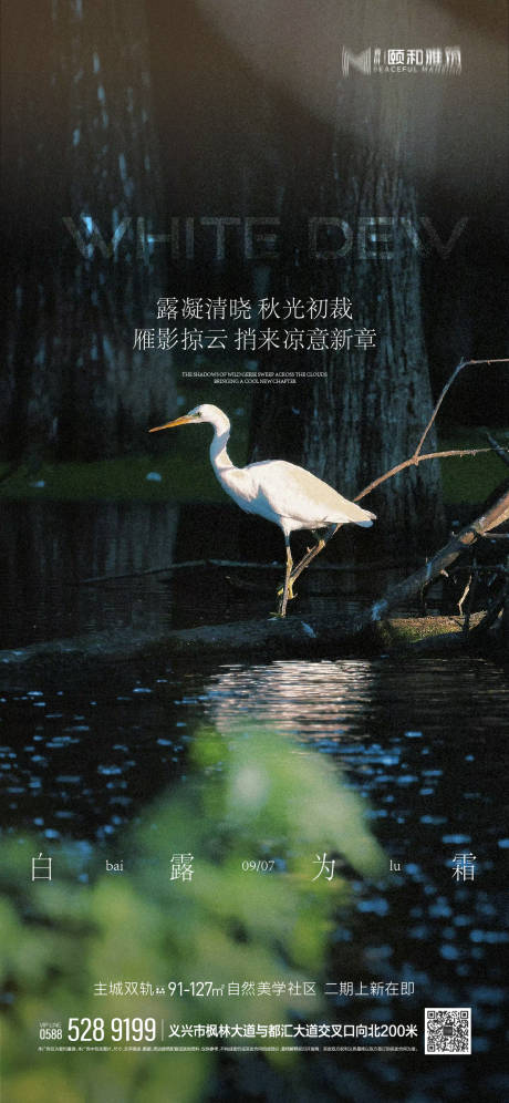 源文件下載【享設(shè)計(jì)】搜索編號(hào)：87460032848483342【2025白露節(jié)氣海報(bào)】