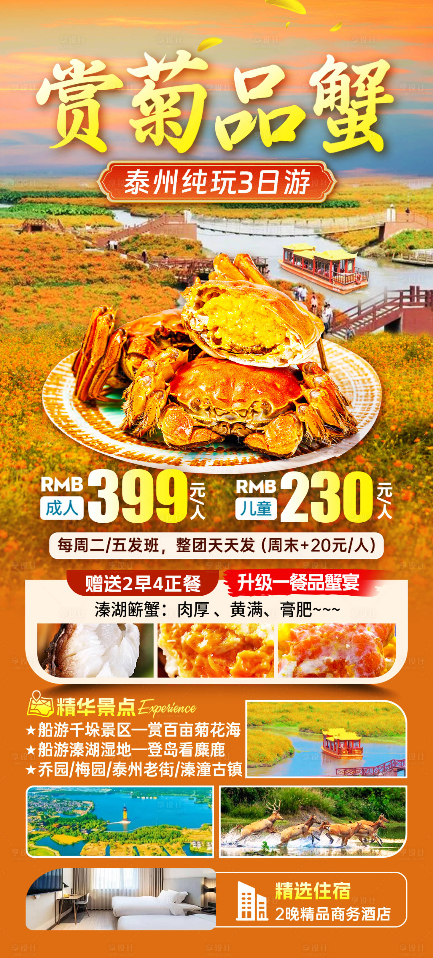 源文件下载【享设计】搜索编号：42560032897536311【赏菊品蟹旅游海报】