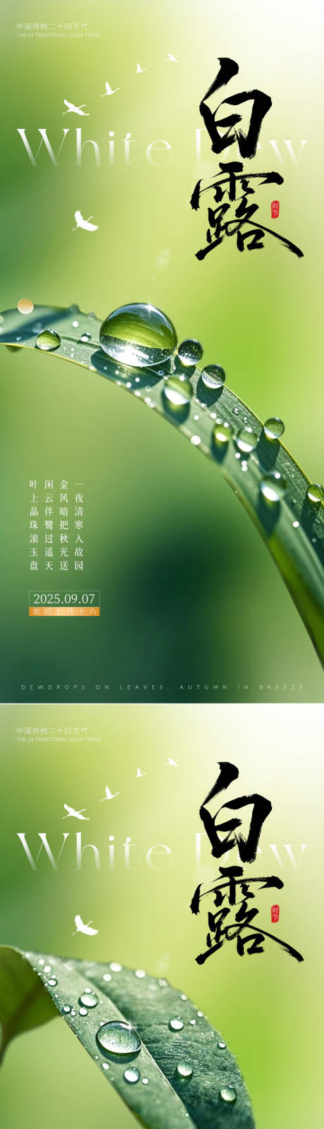 源文件下载【享设计】搜索编号：93440032845233220【白露节气海报】