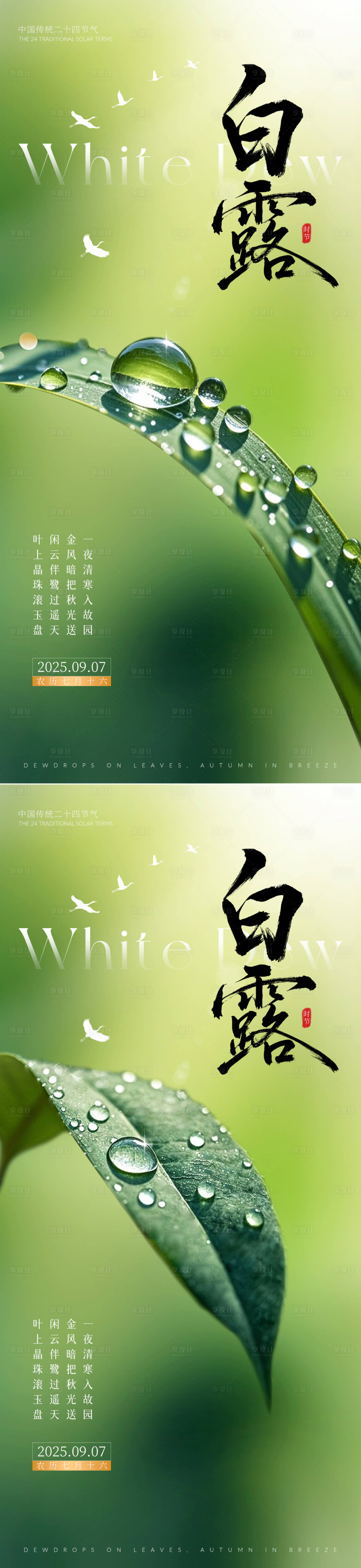 源文件下载【享设计】搜索编号：93440032845233220【白露节气海报】