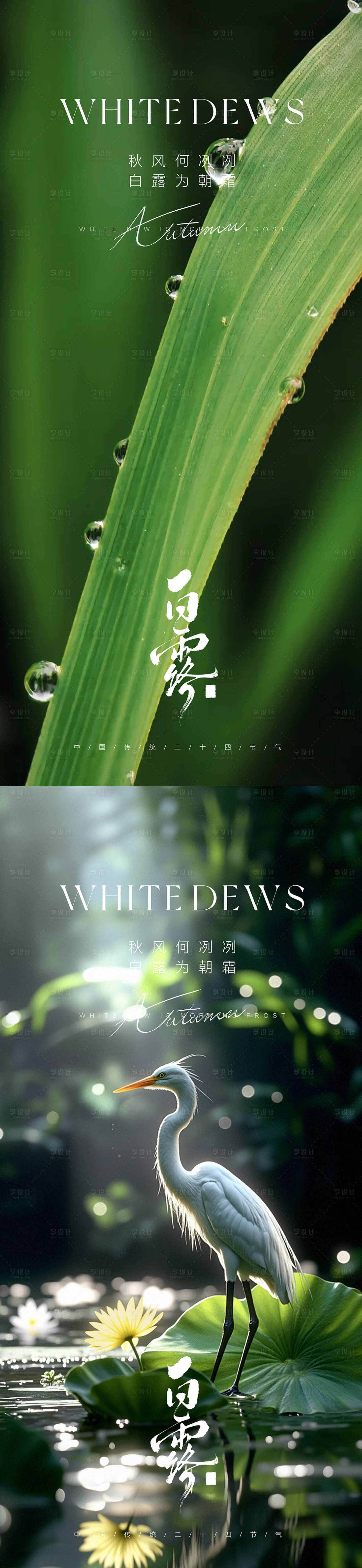 源文件下載【享設計】搜索編號：72470032839401872【白露】