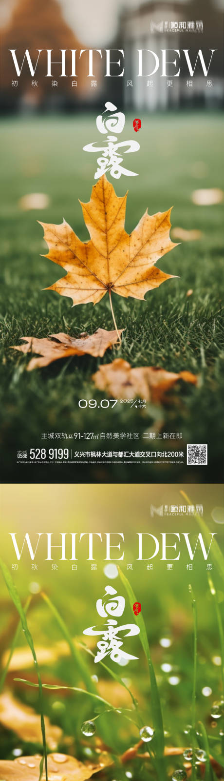 源文件下载【享设计】搜索编号：28210032848294523【白露二十四节气系列海报】