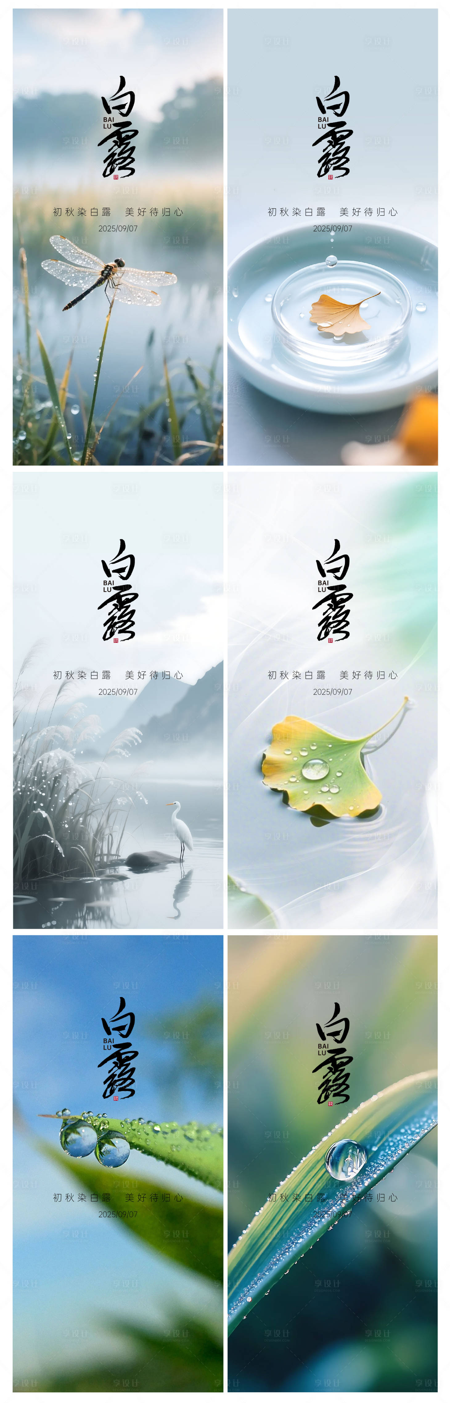 源文件下载【享设计】搜索编号：40740032873645570【白露系列海报】