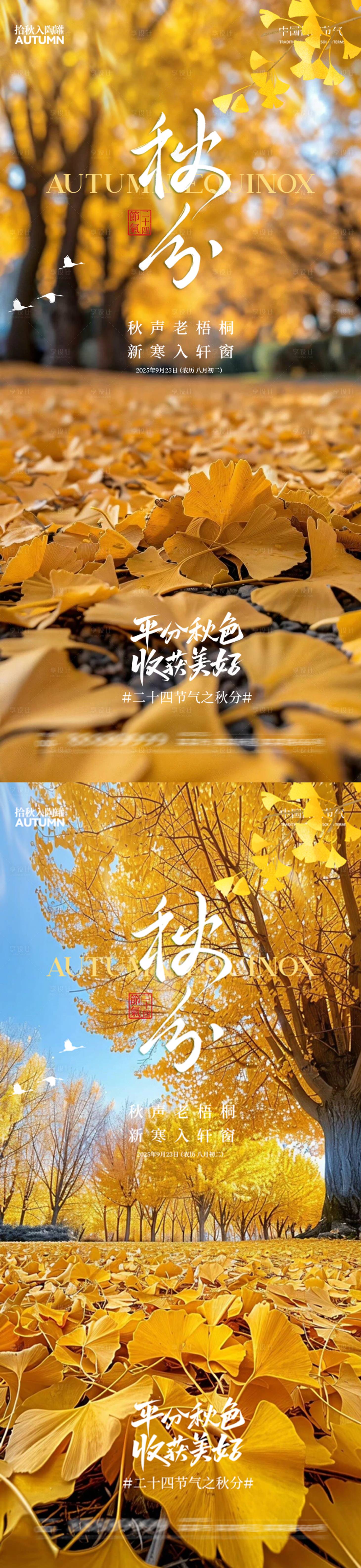 源文件下載【享設(shè)計】搜索編號：70590033051863370【秋分海報】