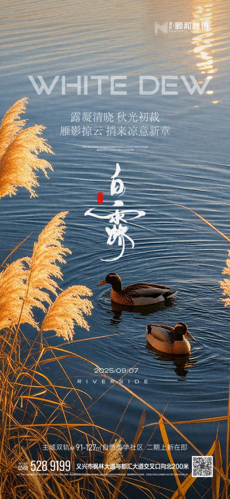 源文件下载【享设计】搜索编号：63820032848463548【白露节气海报】