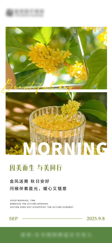 源文件下載【享設(shè)計(jì)】搜索編號(hào)：36610033165741569【桂花香早安圖海報(bào)】