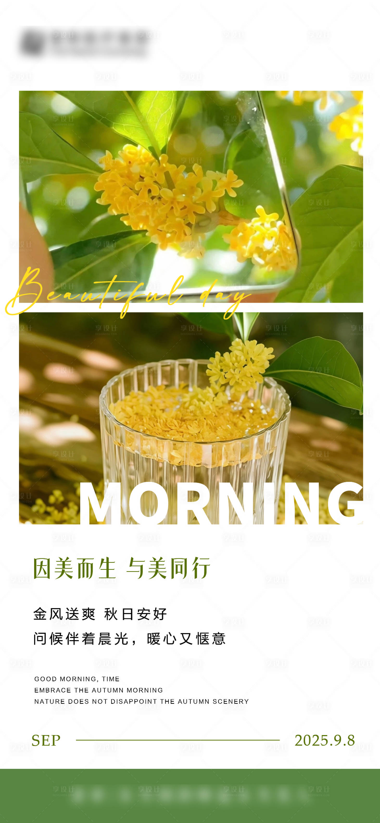 源文件下載【享設計】搜索編號：36610033165741569【桂花香早安圖海報】
