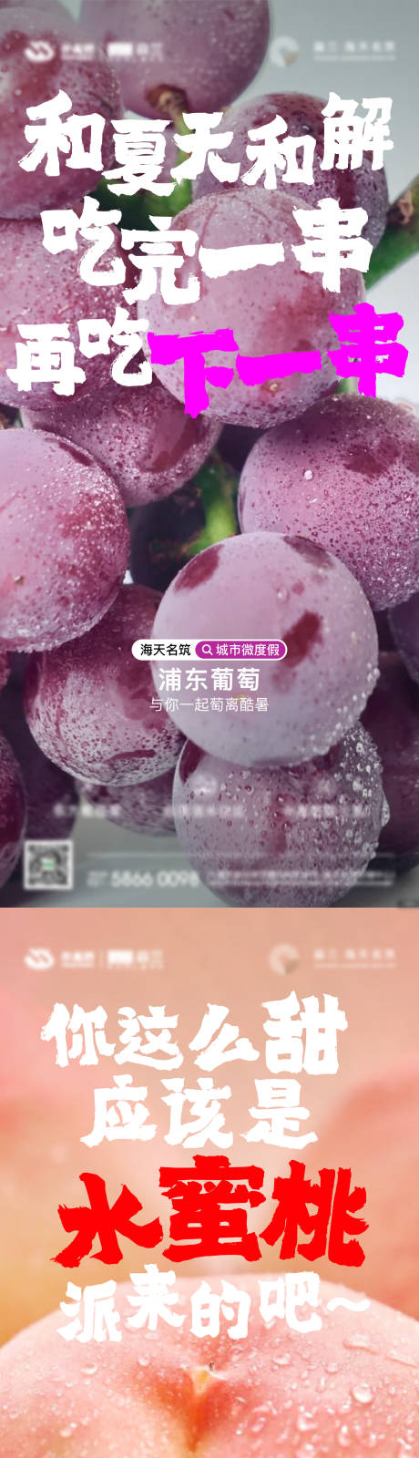 源文件下載【享設(shè)計】搜索編號：64940033041345987【水果刷屏】